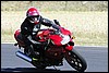 DSC_4559olivdav.jpg